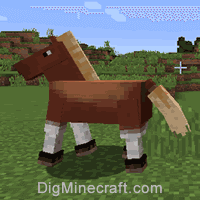 Step How to Breed Horses in Minecraft