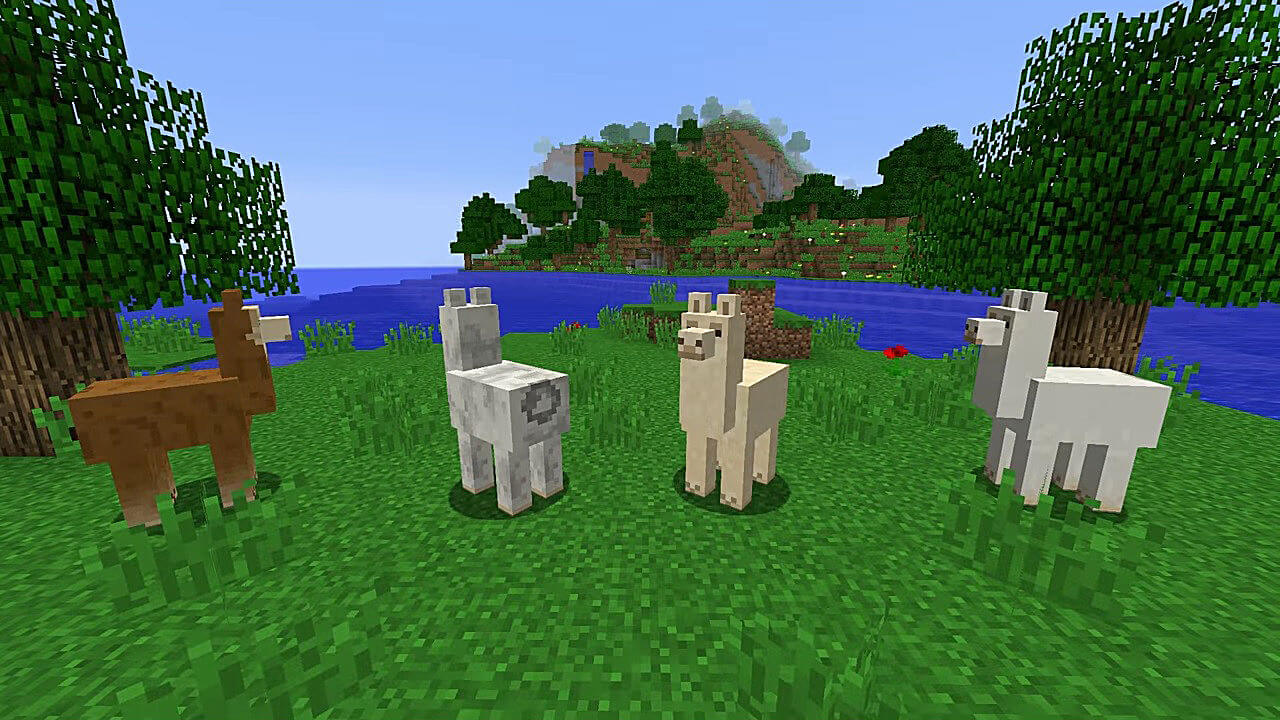 How to Tame Llamas in Minecraft
