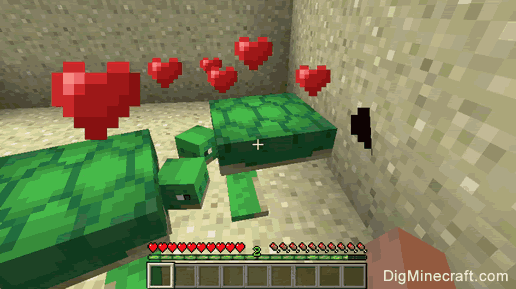 Breed Turtles in Minecraft