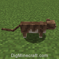Cat in Minecraft