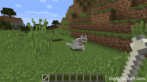 How to Tame a Wolf Minecraft