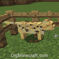 How to Tame an Ocelot in Minecraft