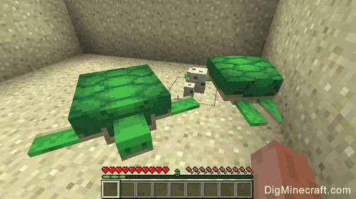 Turtles Minecraft